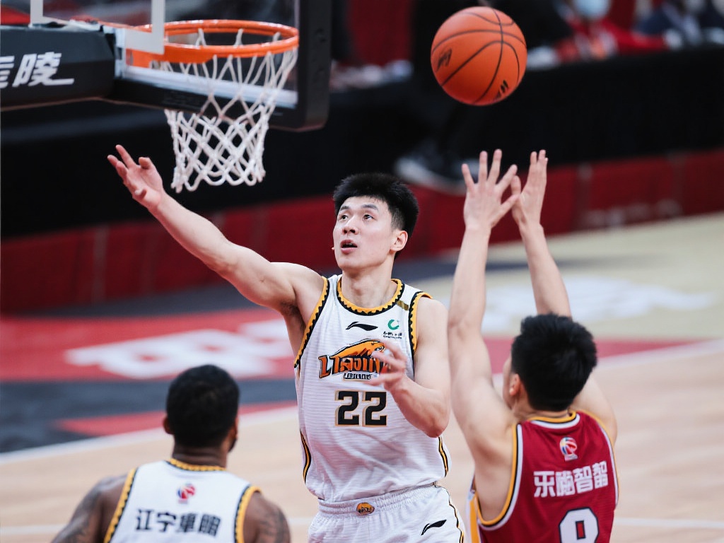 西文化的桥 西文化的桥